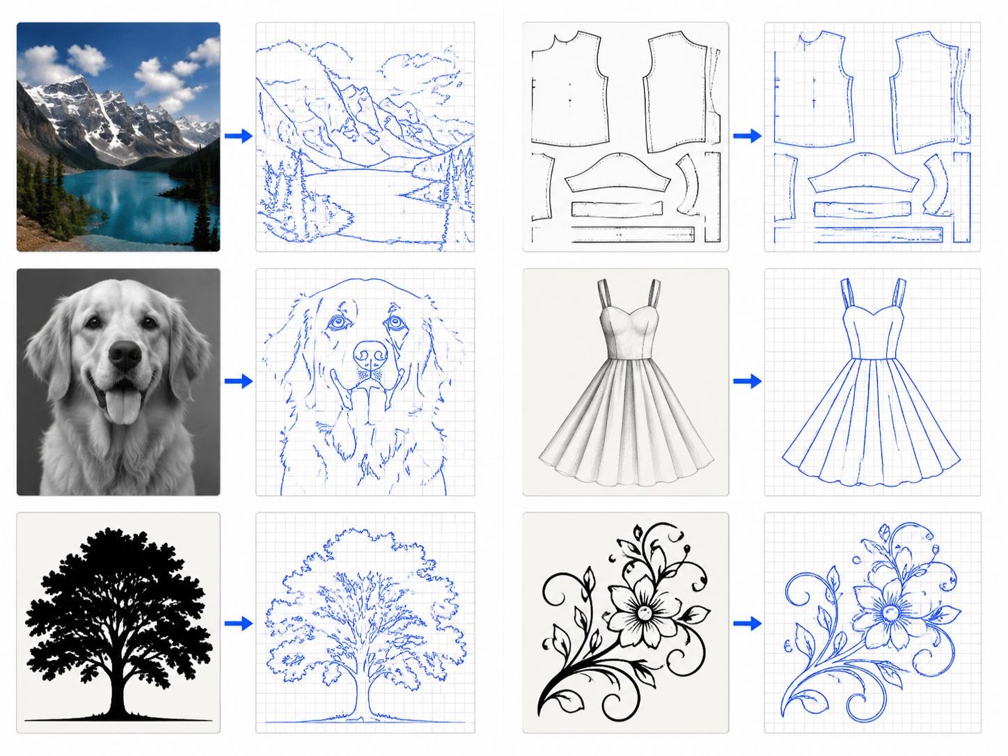 Illustrative examples of images and their traced vector contours